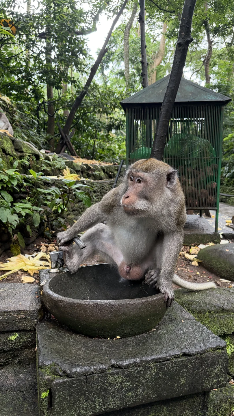 Бали, который вы ждёте (Юлия)