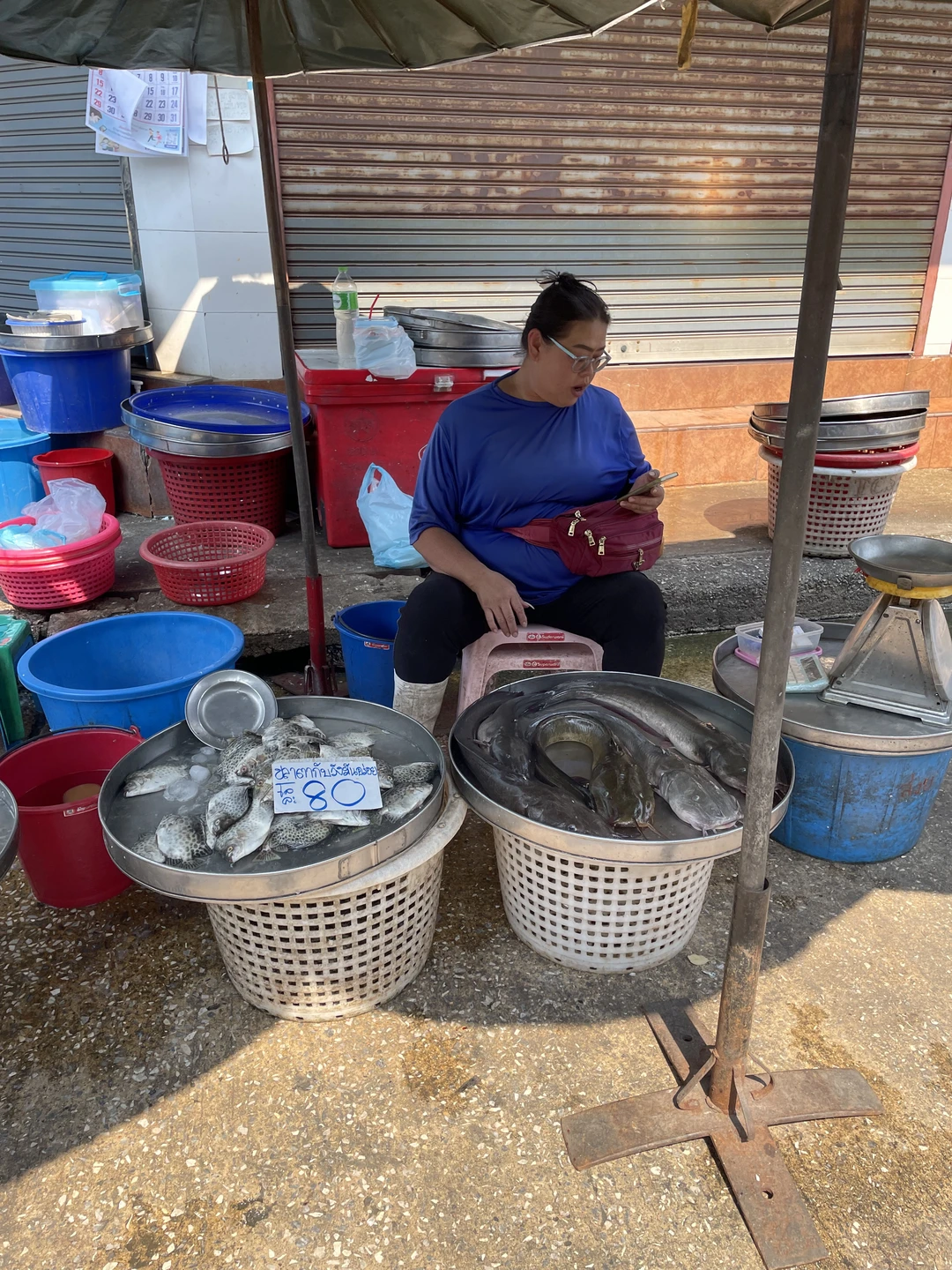 Нас сопровождала гид Роза. Поездка очень понравилась. Программа достаточно насыщенная-много локаций, интересный рассказ. А поезд на