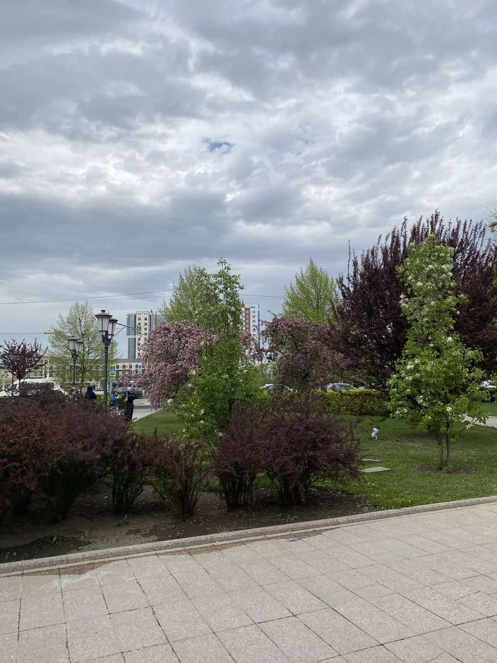 В Чечню из Кисловодска — утром или вечером (12/13)