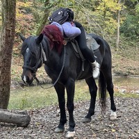 Фото отзыва 1: экскурсия "Конная прогулка по тисо-самшитовой роще"