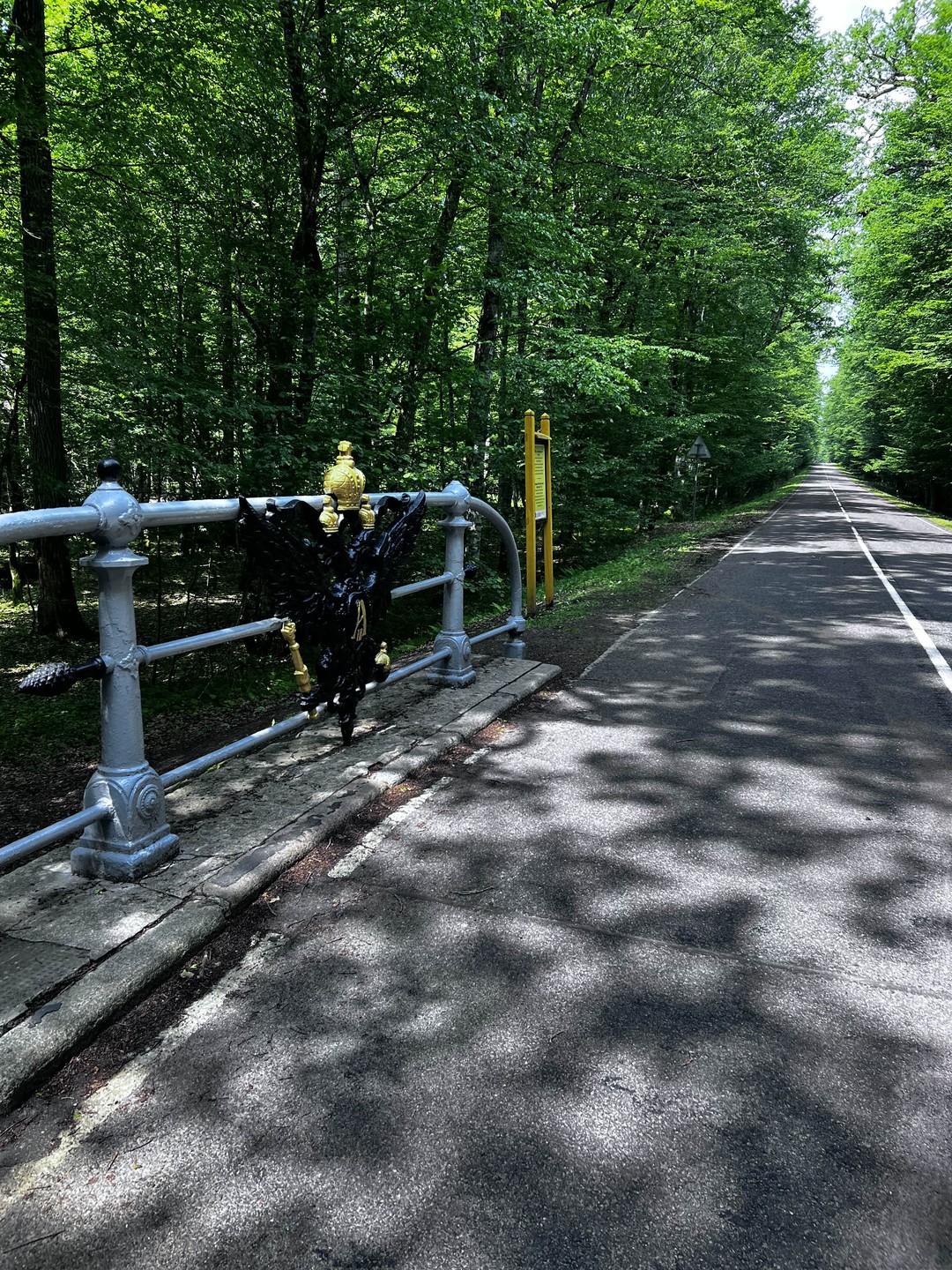 Беловежская пуща по выходным и праздникам (Анна)