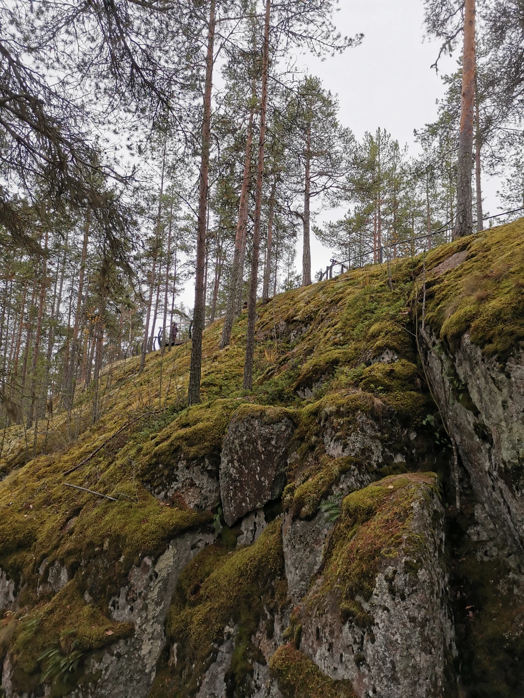 Ваш идеальный день в Карелии (Мария)