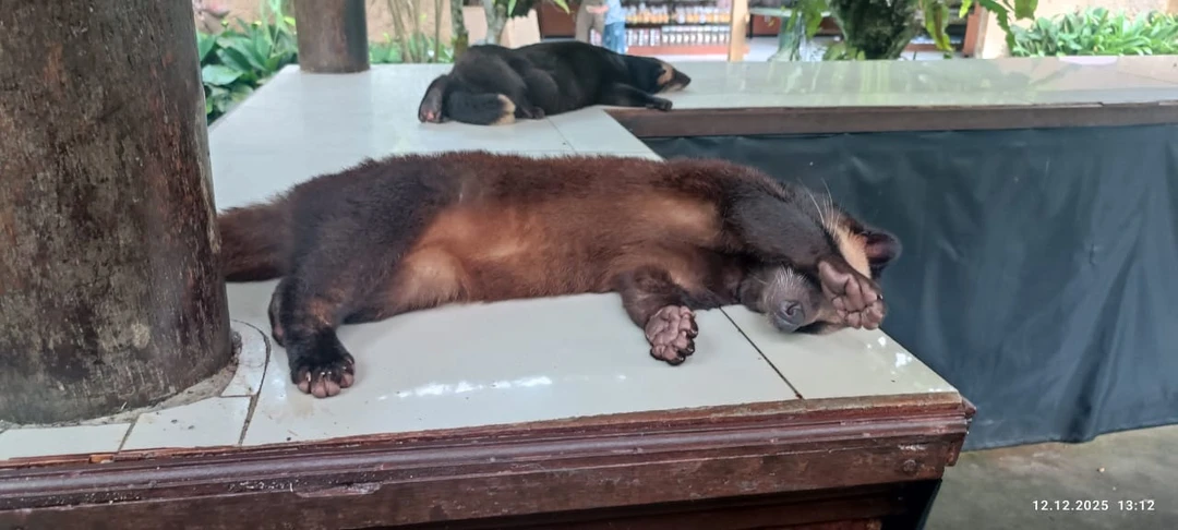 Бали, который вы ждёте (Алёна)