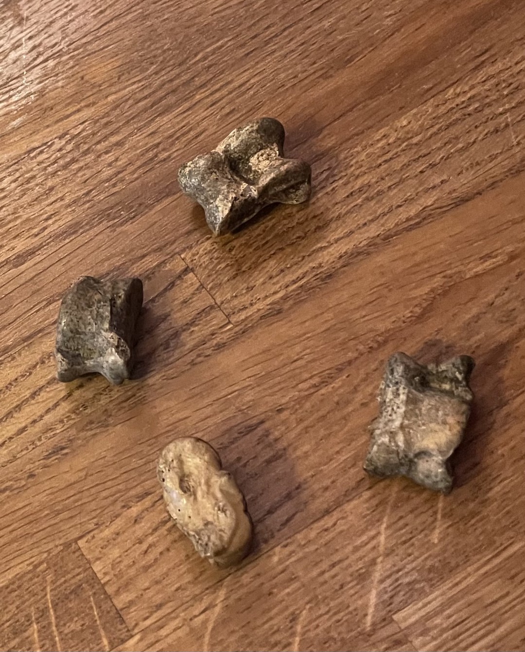 Было интересно, живая подача и интерактив. Необычно и увлекательно!