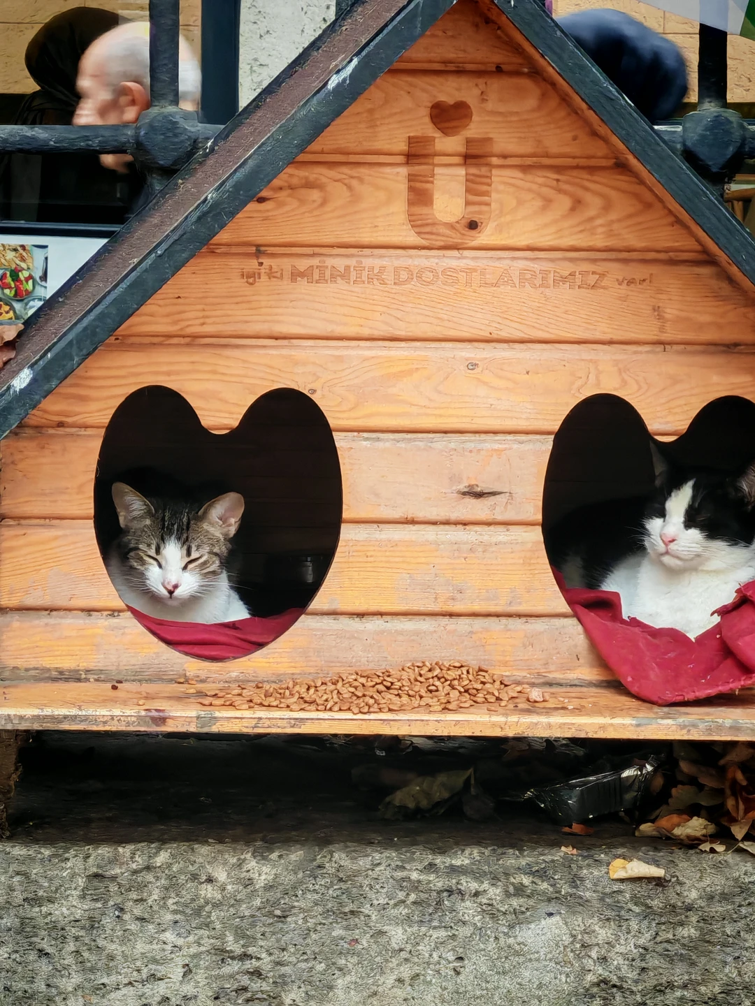 Отличная экскурсия. Огромное благодарность гиду. Ясмин очень хорошо преподносит материал. При общении располагает к себе. При