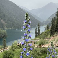 Фото отзыва 1: экскурсия "Озёра Каинды и Кольсай, Черный и Чарынский каньоны — все сокровища Алматы"