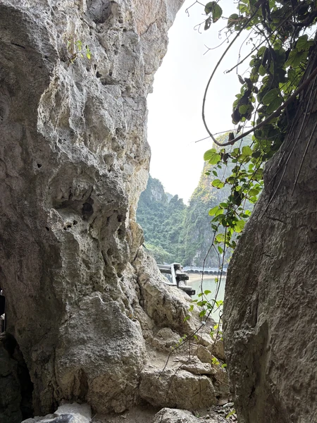 Очень классная экскурсия! И прогулка по Ханою в первый день, и невероятный круиз в Халонг. Все