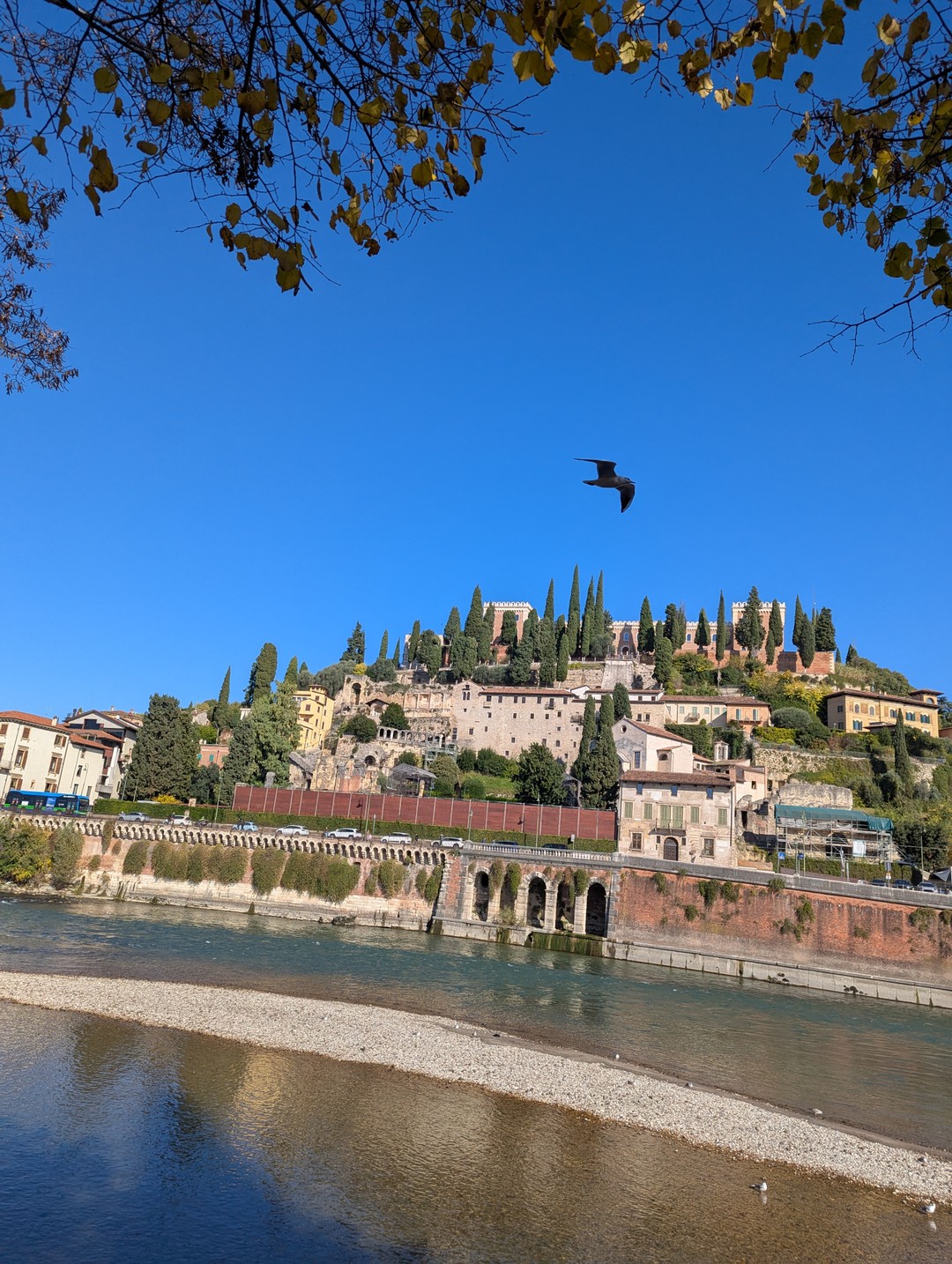 Нам невероятно повезло с гидом. Евгений Итальянец, говорящий по русски и знающий ещё несколько языков, прекрасно