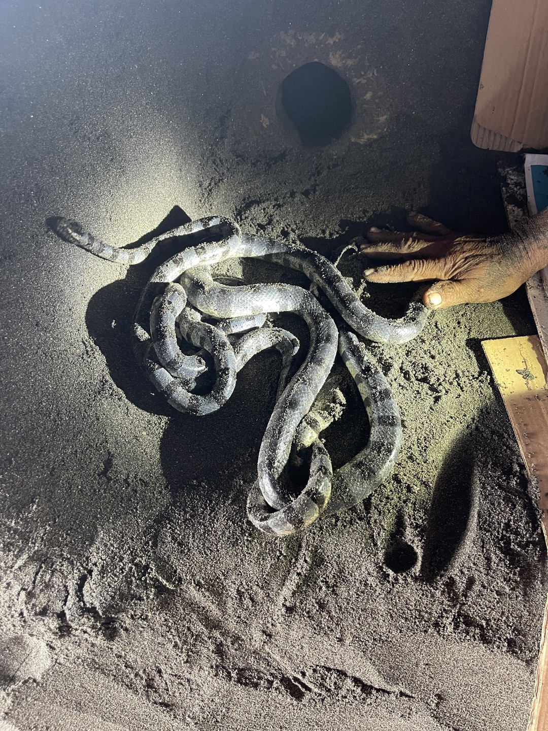 У меня была индивидуальная однодневная экскурсия с Вайаном и этот день оставил у меня массу позитивных