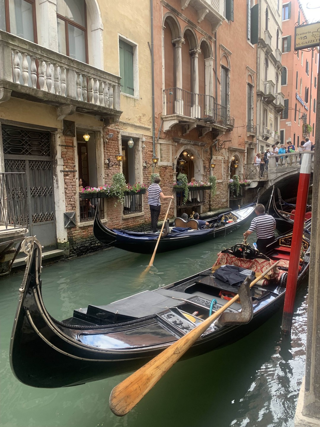 Венеция - от площади Сан-Марко до моста Риальто (Виктория)