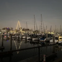 Фото отзыва 3: экскурсия "Лос-Анджелес за 1 день: Беверли-Хиллз, Голливуд и океан"