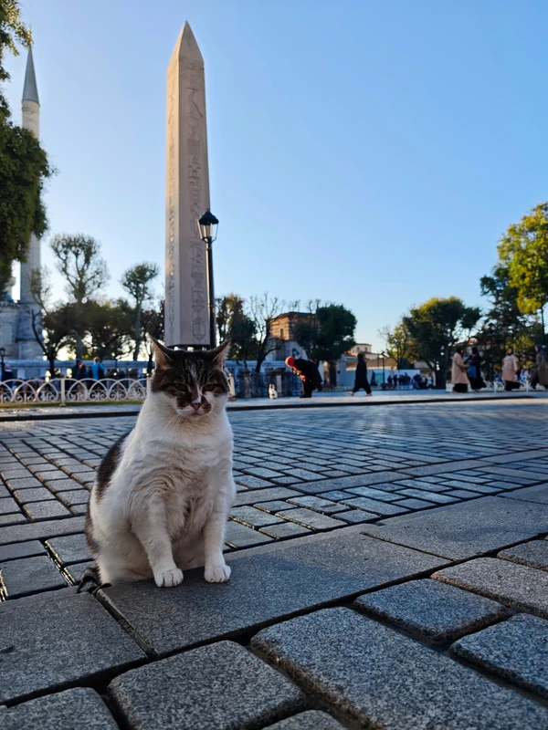 Стамбул non stop: от Старого города до современного