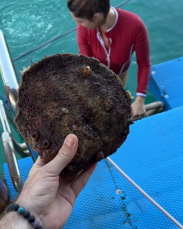 Погружение за жемчугом на Фукуоке