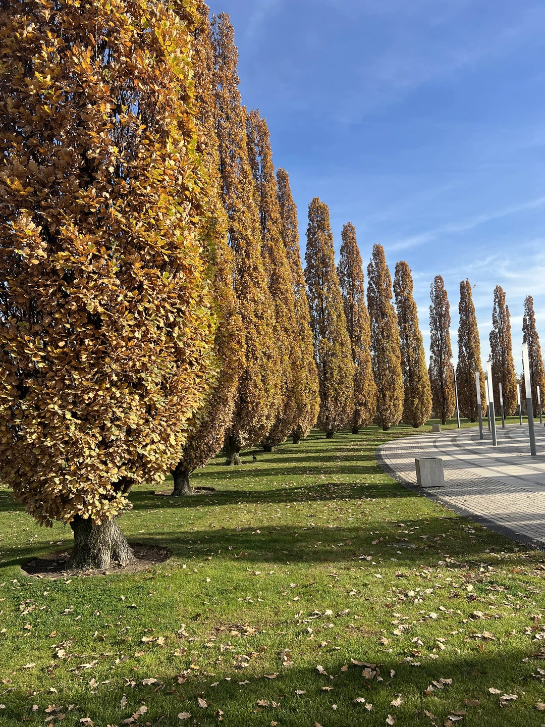 Прекрасная, очень информативная экскурсия! Светлана - замечательный рассказчик, знающий рассказчик и очень любящая парк и Краснодар!