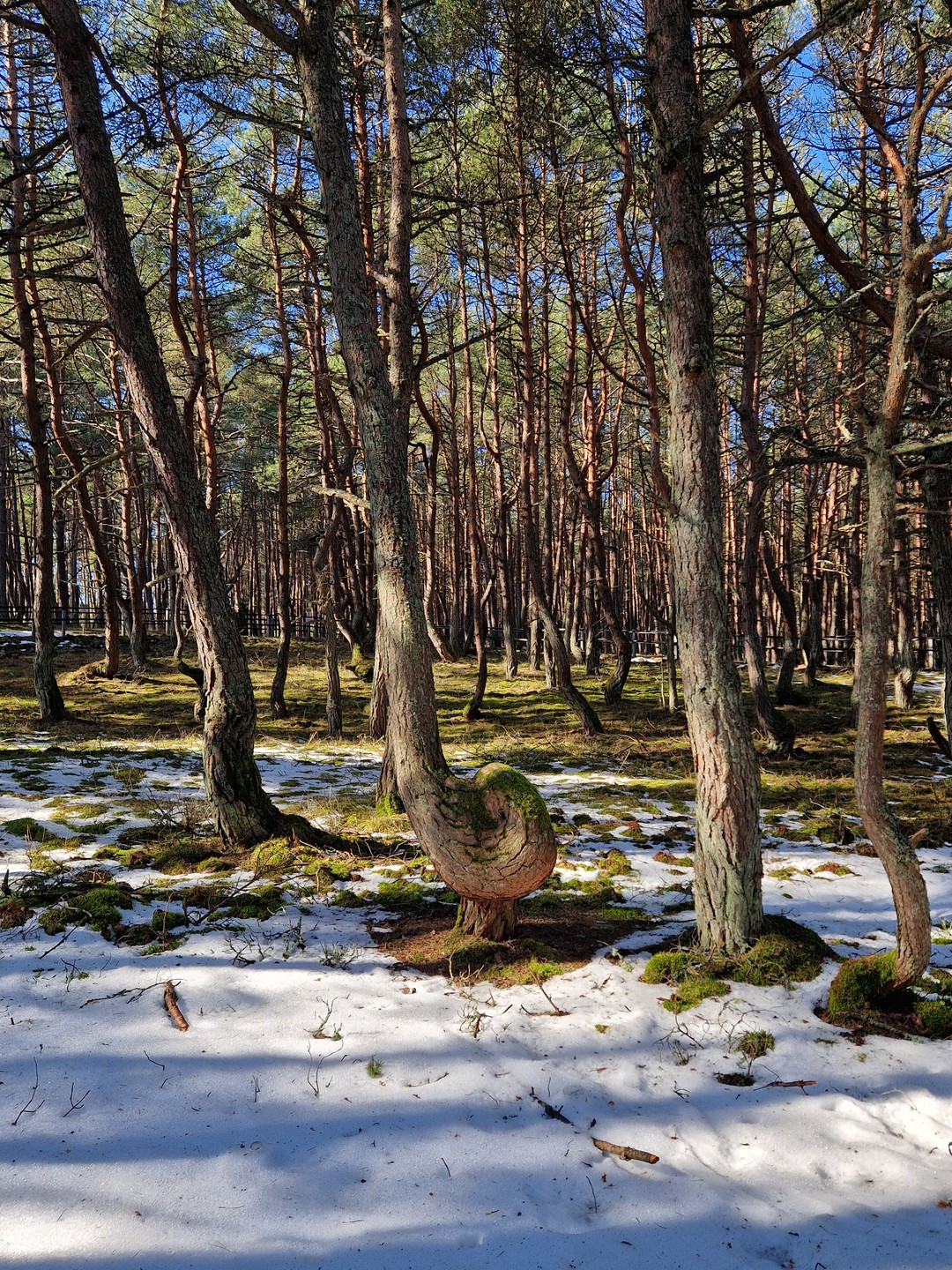 Экскурсия, в целом, понравилась: во время перемещения между объектами озвучивалась основная информация, потому на самом объекте