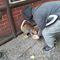 Фото отзыва 1: экскурсия "Гранд-тур по Калининграду"