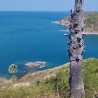 Фото отзыва 4: экскурсия ""