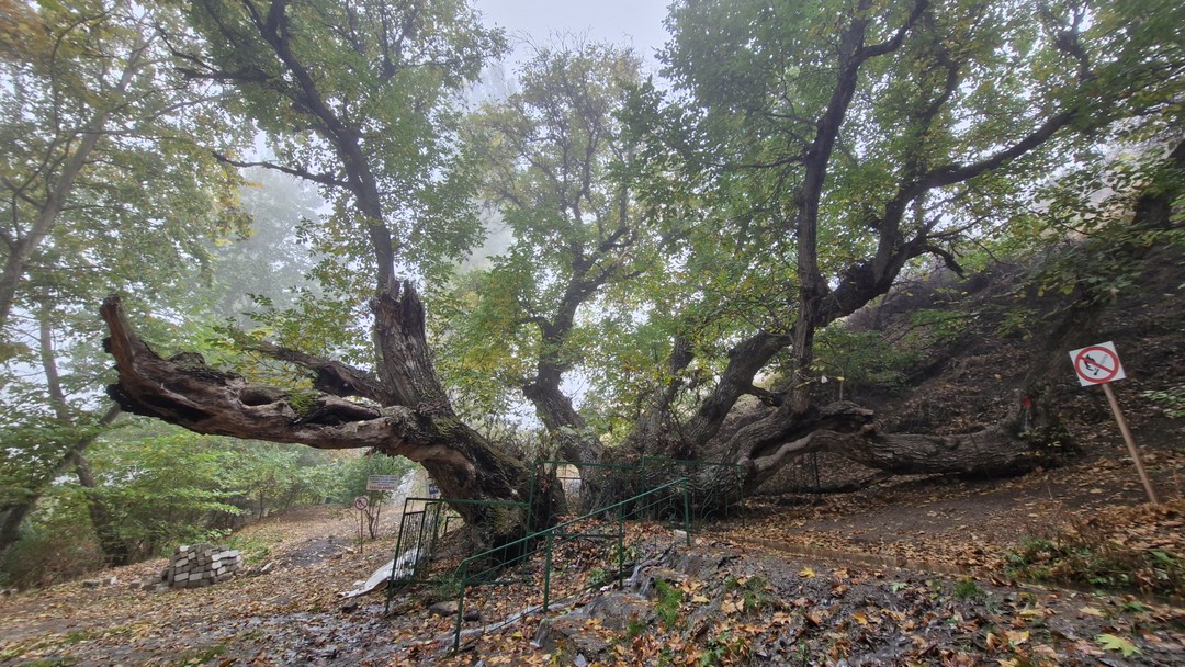 Были в Заамине 14 октября. Увлекательная поездка получилась. Жахонгир забрал рано утром нас из отеля и
