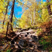 Фото отзыва 7: экскурсия "Бурятская Швейцария"