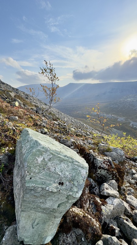 Виды Прогулка в Хибинах + экскурсия по Кировску