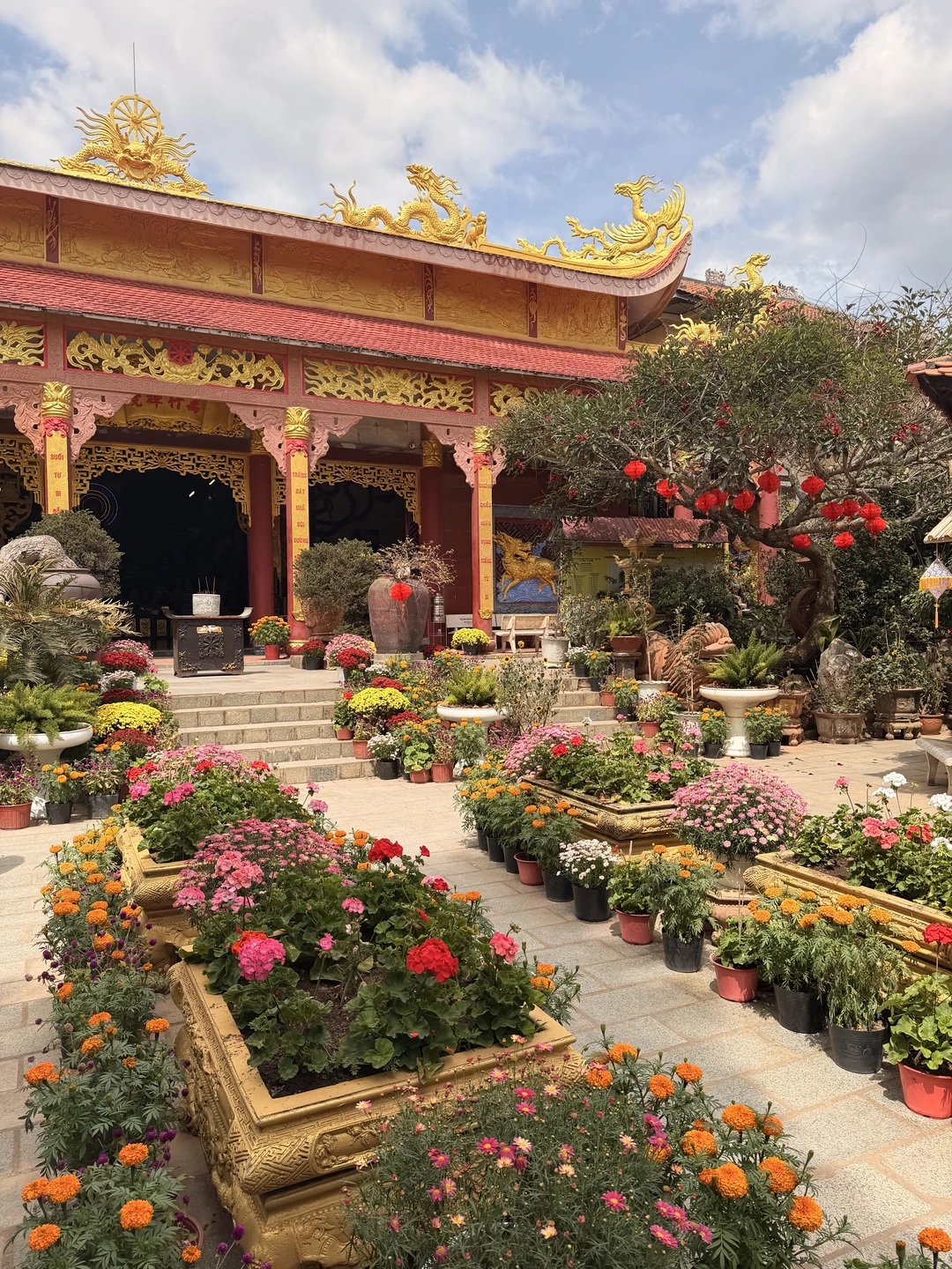 Хотим выразить огромную благодарность гиду Михаилу за замечательную экскурсию в Далат!