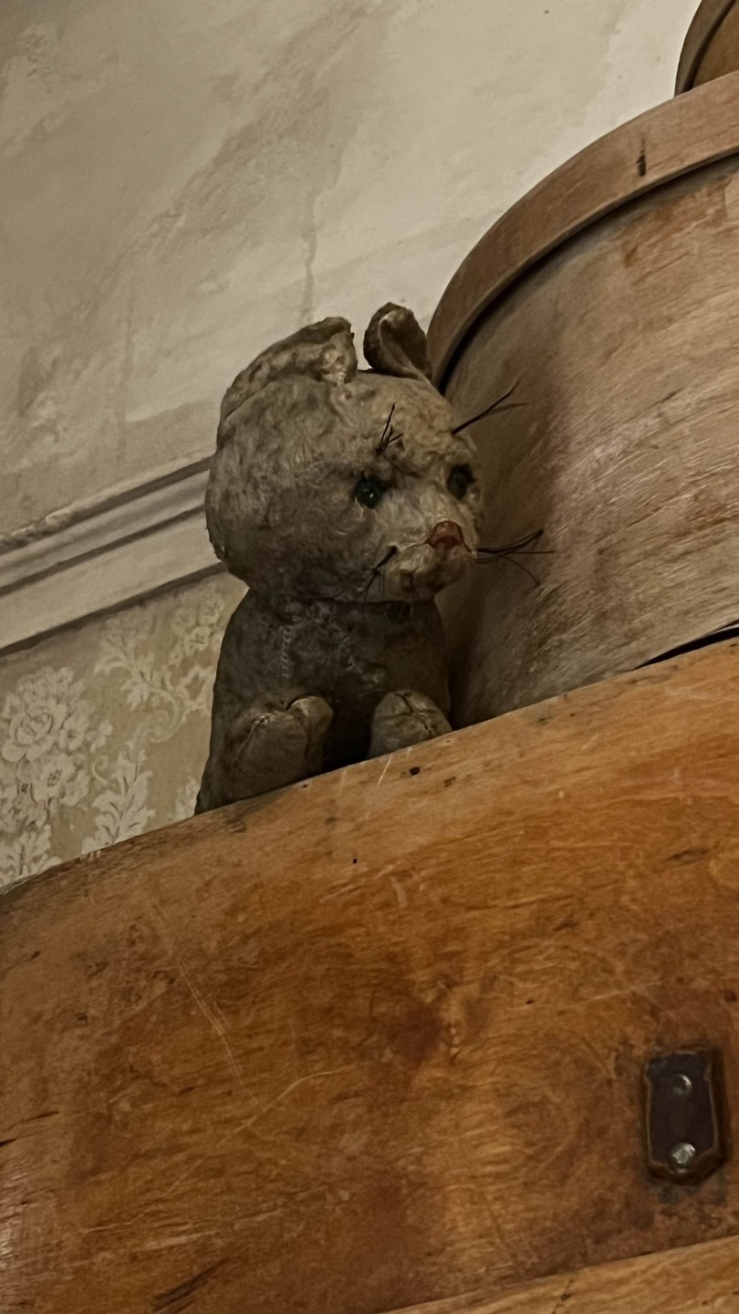 Секреты ленинградских коммуналок: взгляд изнутри (Полина)