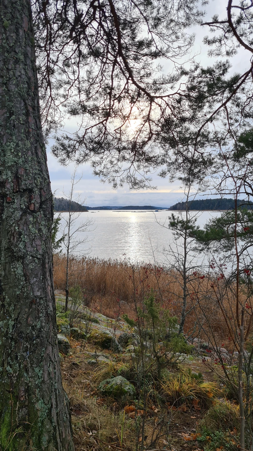 Прекрасная экскурсия! Провели отличный день в обществе Надежды и природы Карелии! Дополнительный плюс – практически полное