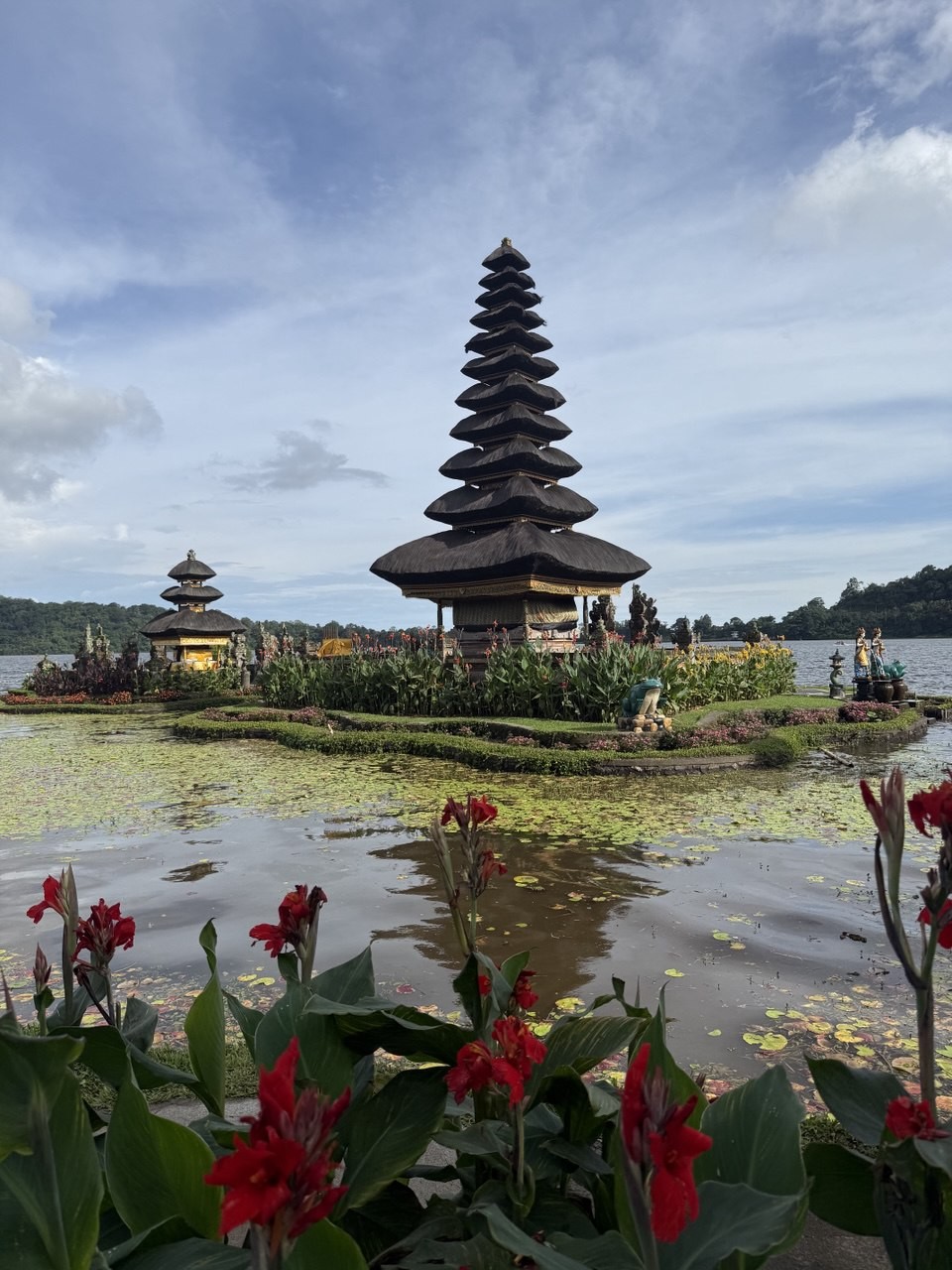 Мы семьей были на экскурсии с Дви. Провели замечательный и познавательный день Много шутили, смеялись, успели