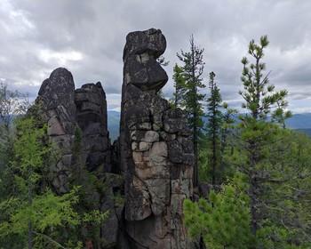 На плато к скальным столбам через кедровый лес