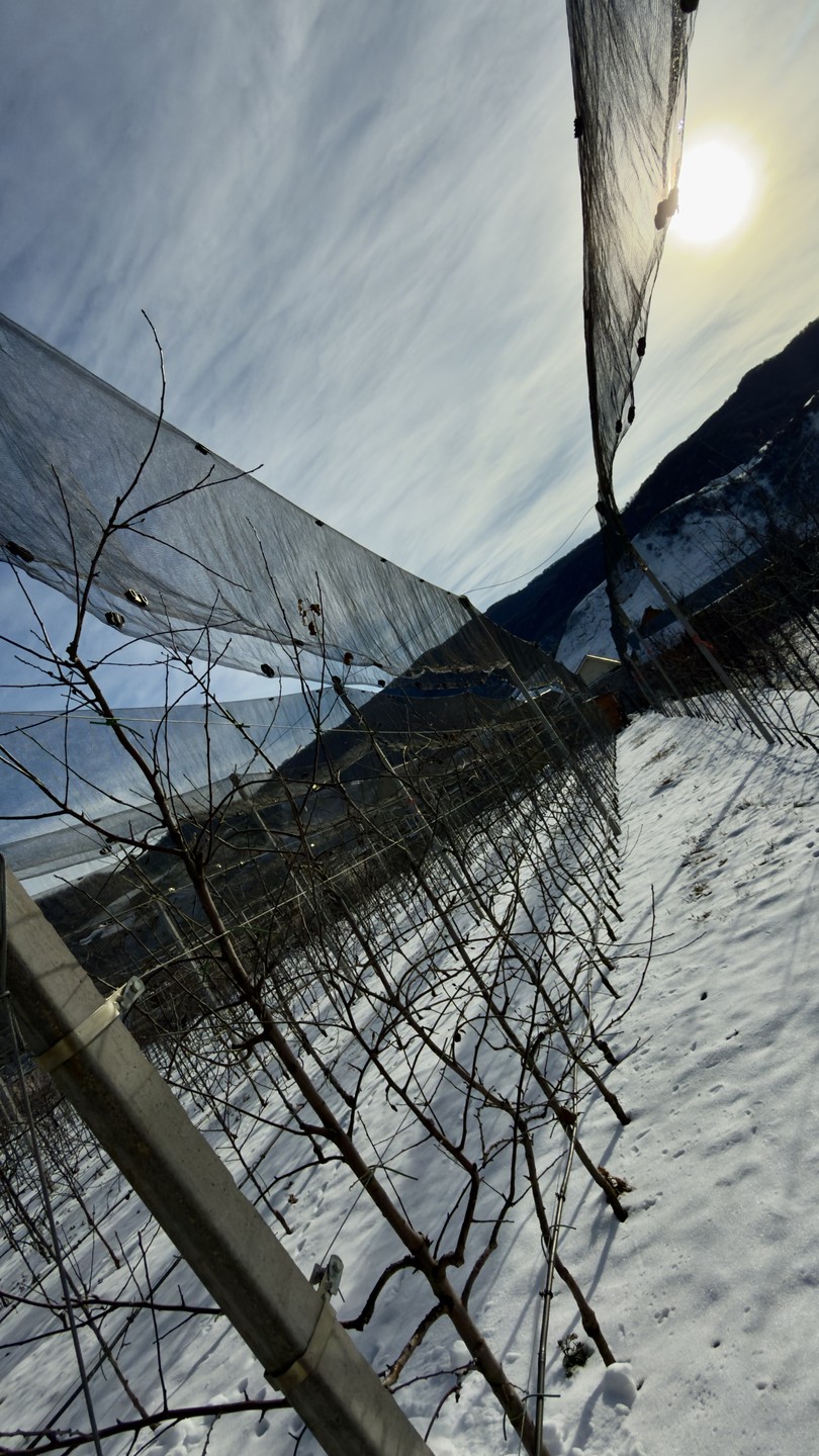 Много красивых мест+отличная погода, увидели все локации по плану, но хотелось бы чуть больше информации, вовлеченности