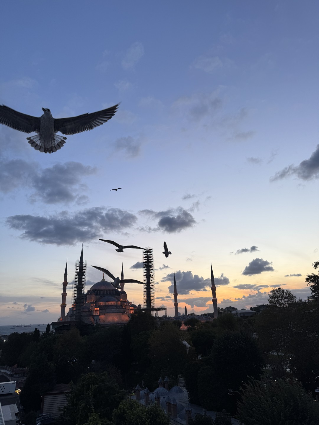 Прекрасная экскурсия для знакомства со Стамбулом! Были на экскурсии с подругой в сентябре, а потом еще