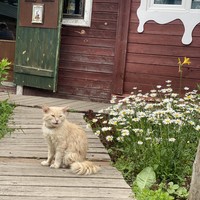 Фото отзыва 1: экскурсия "Суздаль: от викингов до Бальзаминова"