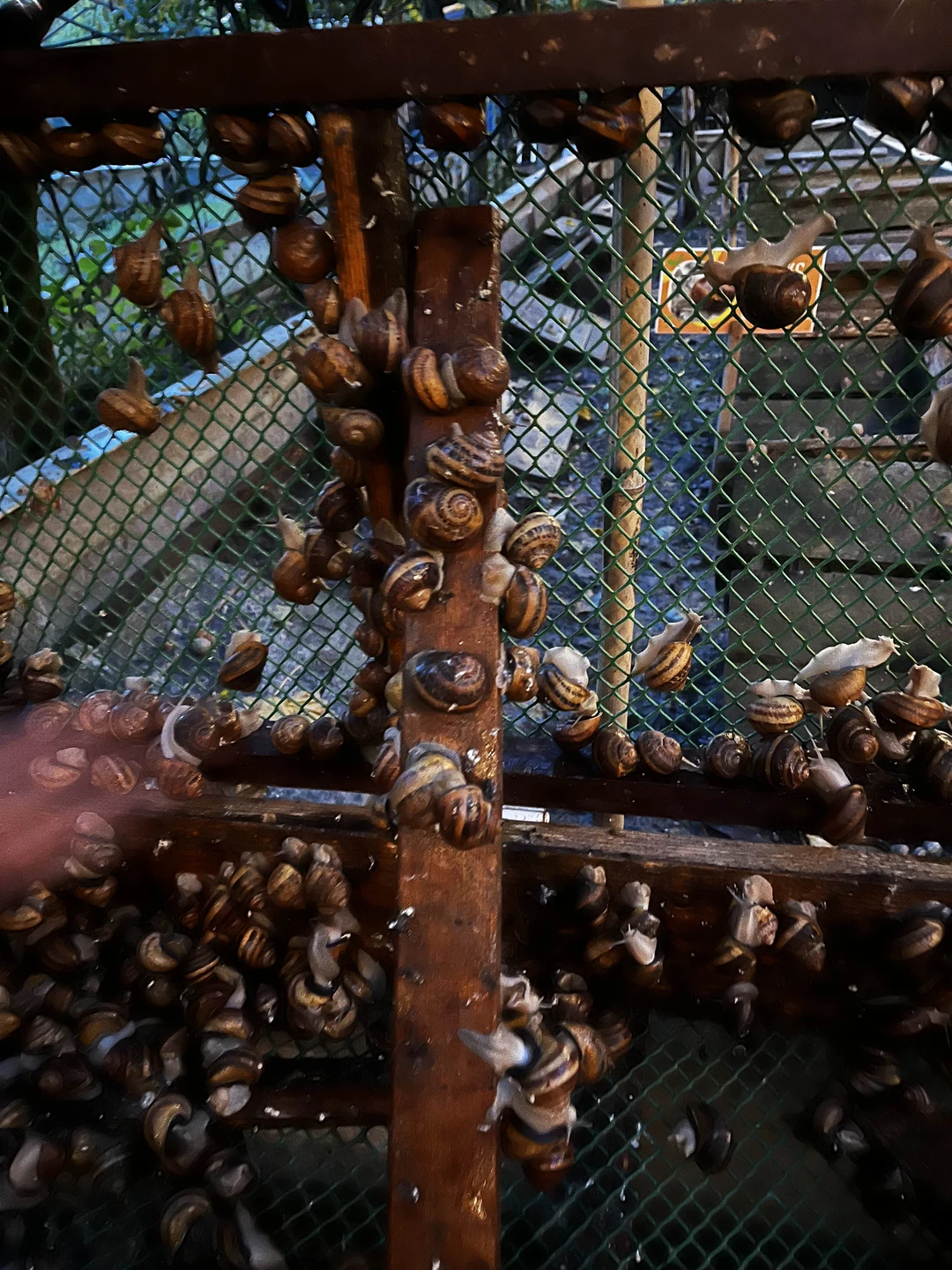 Все очень понравилось, Василий интересный рассказчик, экскурсия понравилась, дегустация улиток - отлично!!!