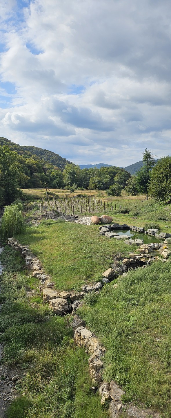 Большой день в Кахетии (Татьяна)