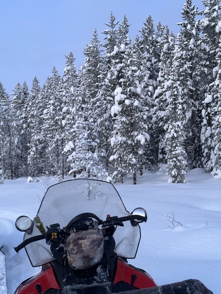 Все понравилось. Очень доброжелательные люди
