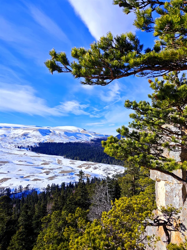 Лаго-Наки: жемчужина Кавказских гор