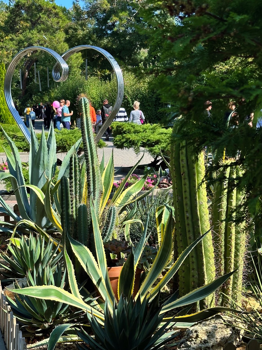 Фото Самый лучший день в Абрау-Дюрсо