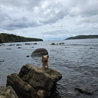 Фото отзыва 2: экскурсия "Топ-8 мест для фото во Владивостоке"