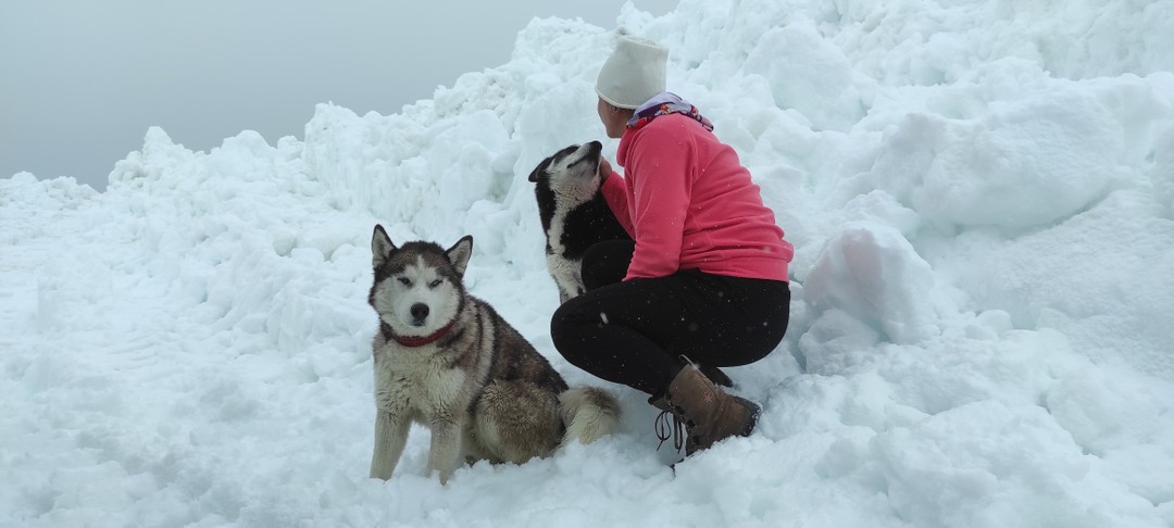 Попала на Камчатку впервые. И когда выбирала каким путем отдыхать самостоятельно или тур взять, в общем