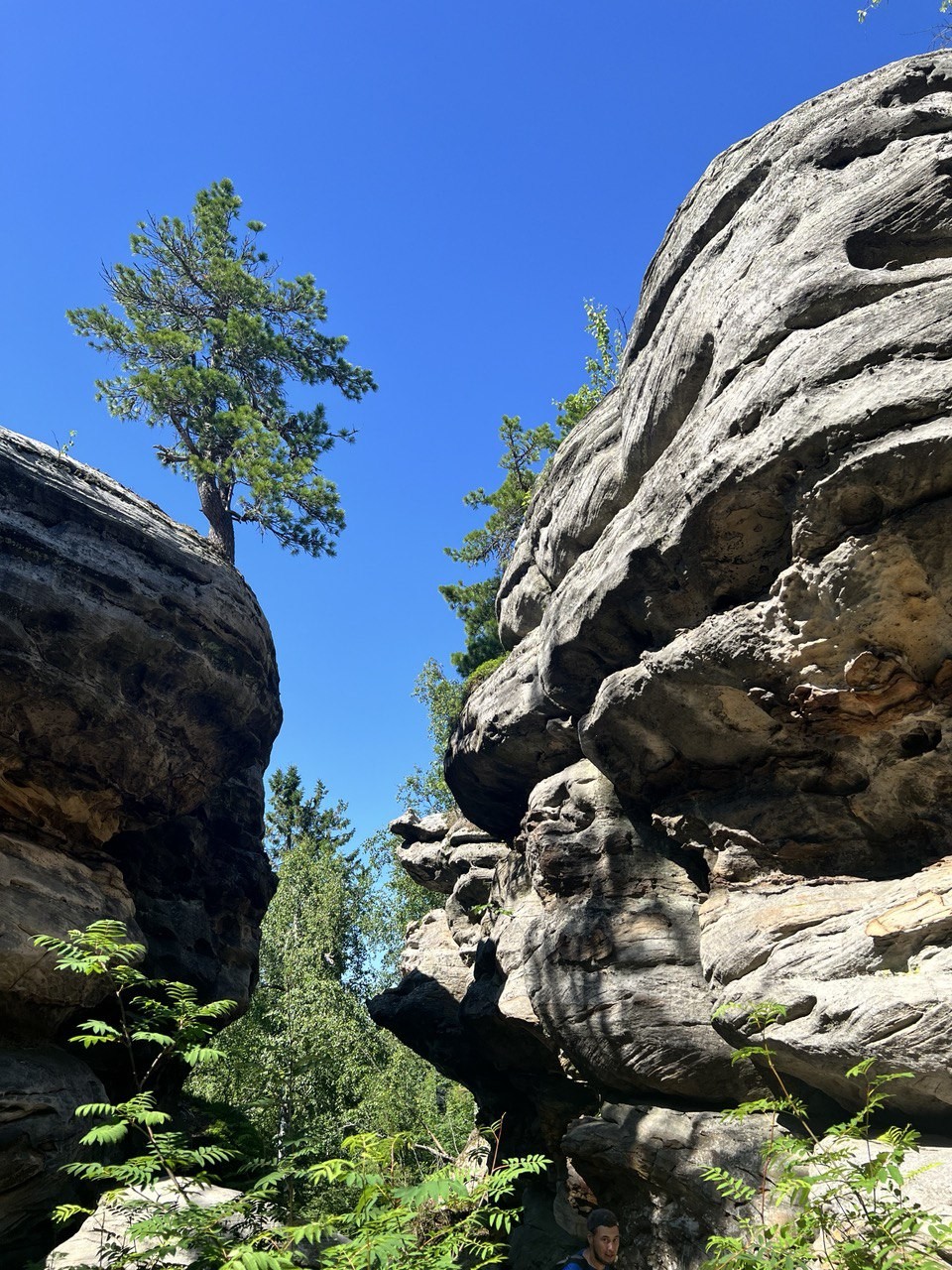 Благодарим гида Катю и водителю Игоря за чудесный день! Мы были очарованы уральскими красотами. Живописные Усьвинские