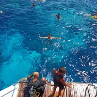 Фото отзыва 2: экскурсия "Египетские Мальдивы: групповая прогулка на яхте!"