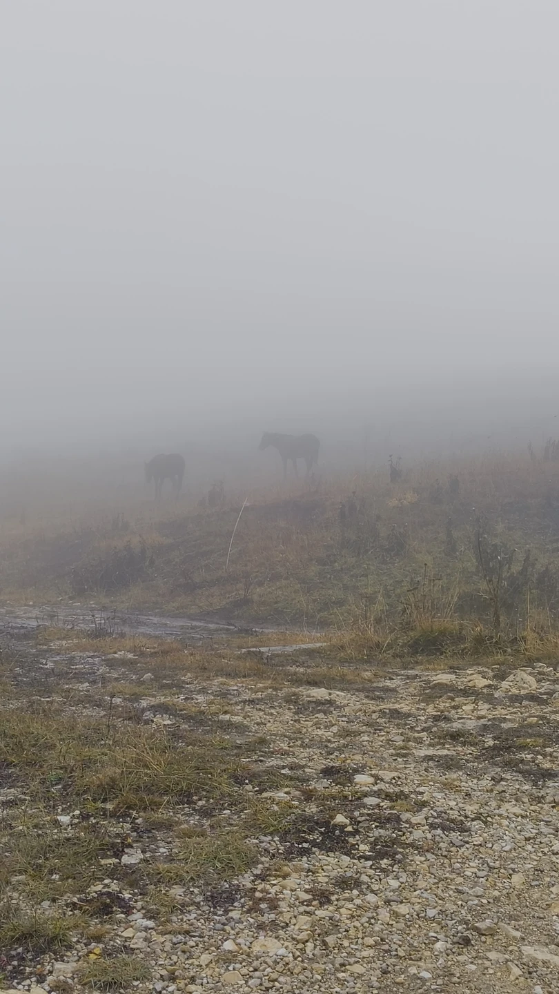 Поездка состоится в любую погоду. Нам не повезло, всю дорогу шел дождь. Вверху гор не было