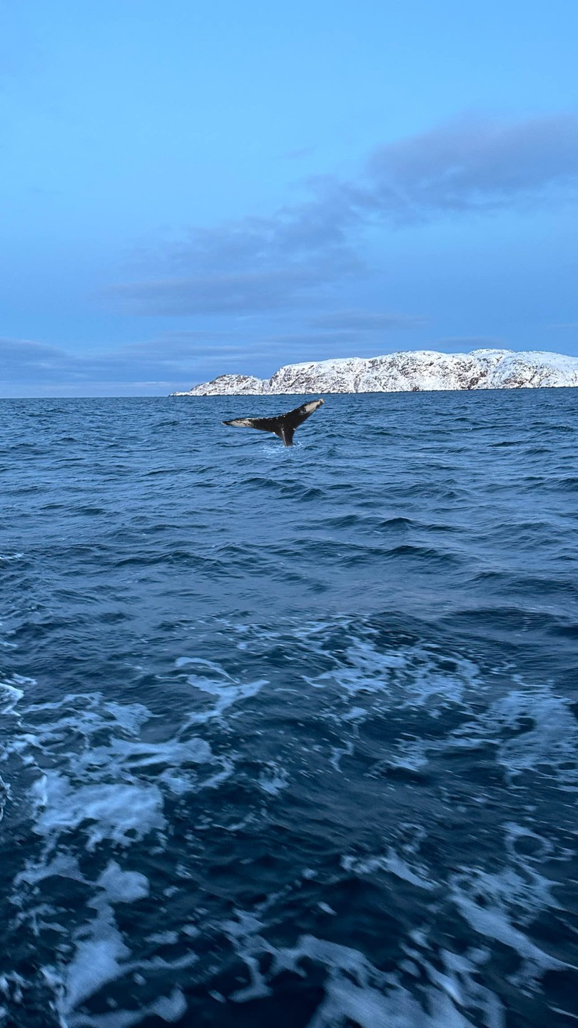 Дорогой друг и любитель острых ощущений! Если ты читаешь это и хочешь получить эмоции, которые останутся