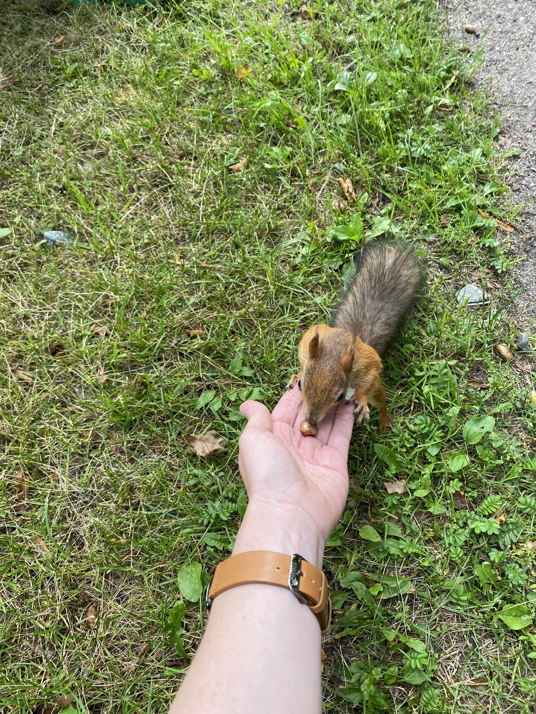 Гуляли с волшебницей Аленой 3 сентября. Был День рождения моей сестры и мы праздновали его вместе