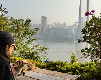 Панды, горы, Старый город