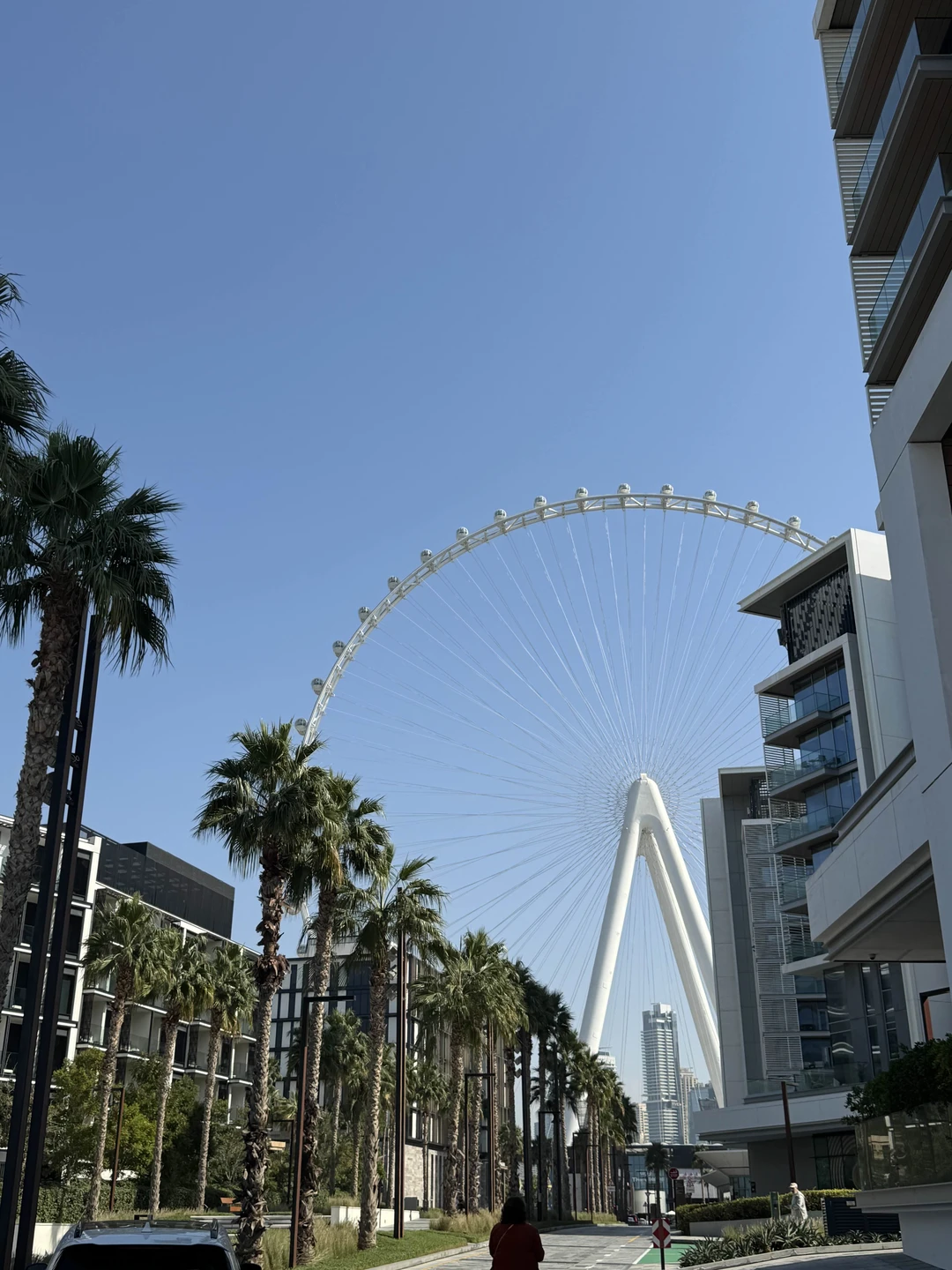 Блистательный Дубай в мини-группе (Никита)