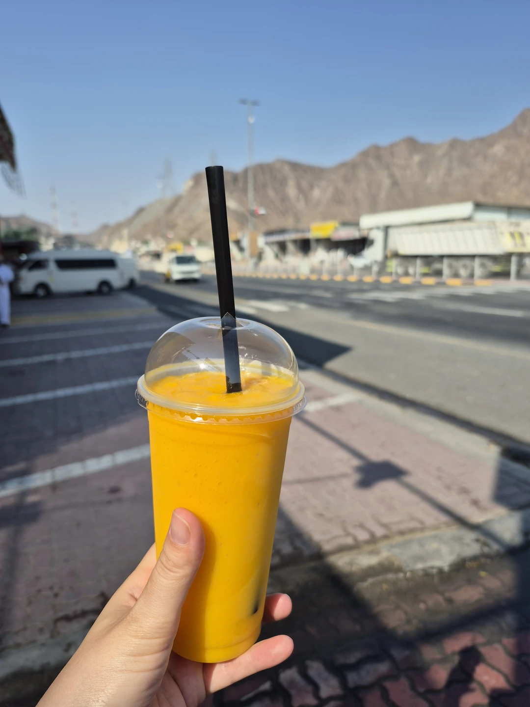 Сами Эмираты мы толком не поситили. Мы просто ехали в отдаленый отели и проезжали через все