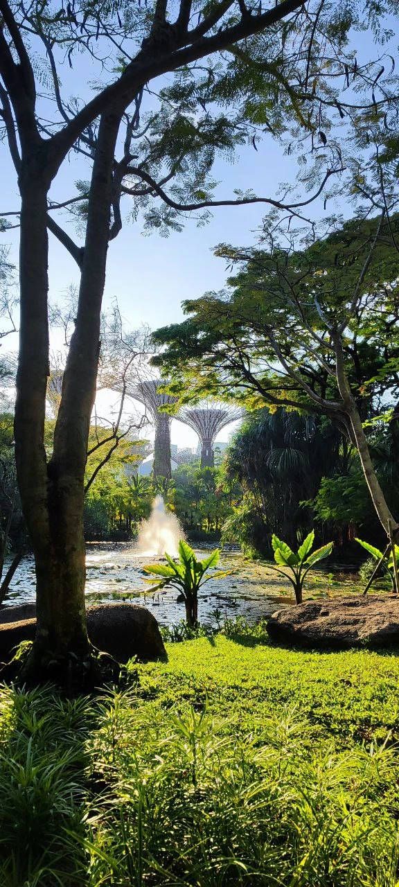 Готовились с женой к отпуску и увидели тур – 4 страны за 15 дней. Это же