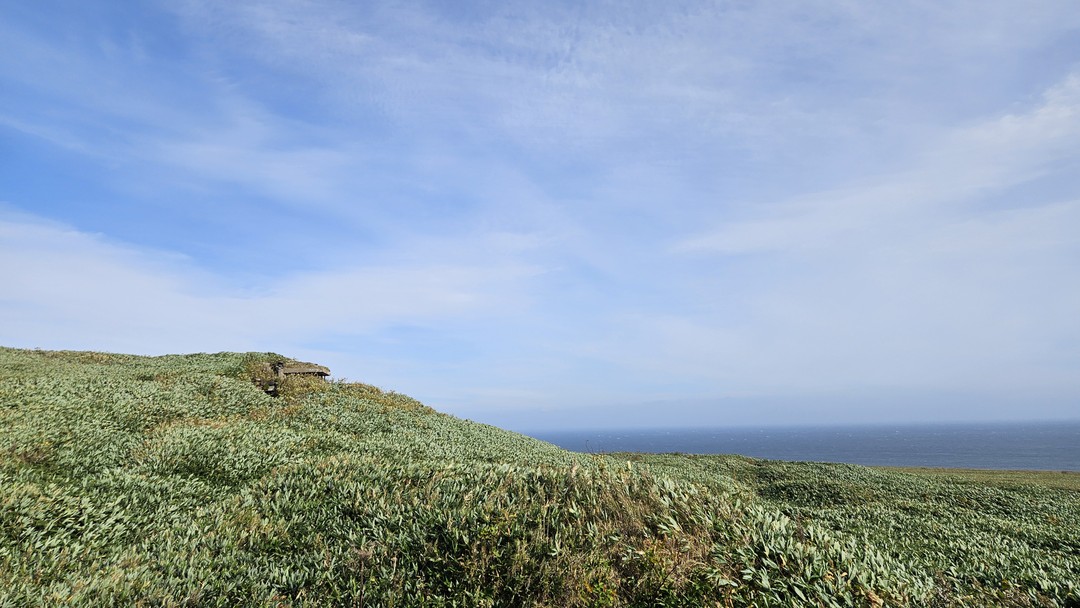 Длительная поездка для любителей бездорожья на сафарике под управлением невозмутимого гида-водителя Владимира. Мне всё понравилось -