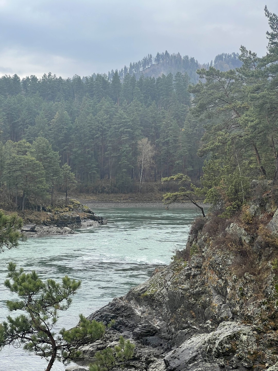 Были на экскурсии с Николаем, кроме стандартной программы описанной на сайте, мы увидели гораздо больше, узнали